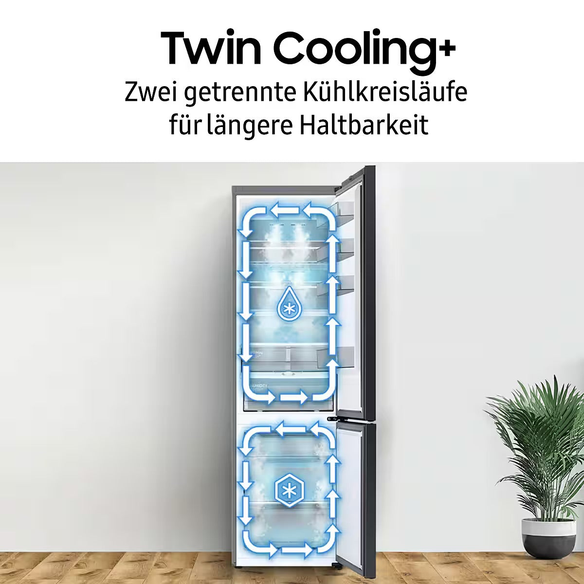 SAMSUNG
Kühl-/Gefrierkombination RL38T607BB1